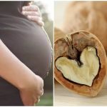 Óc chó đỏ có tốt cho bà bầu không? Nên ăn như thế nào?