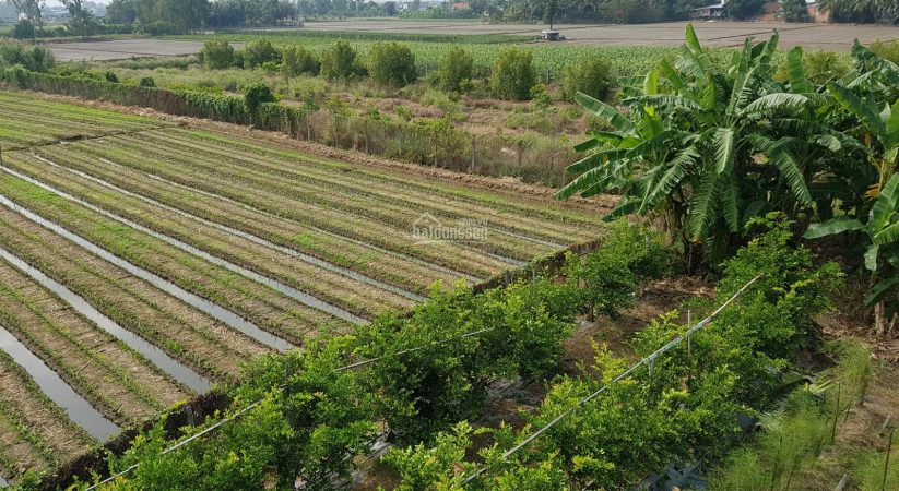 Top 3 khu vực bán đất vườn tại An Giang đáng chú ý hiện nay