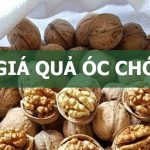 Giá hạt óc chó chất lượng bao nhiêu 1kg? [Mới nhất]