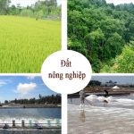 Cho thuê đất nông nghiệp An Giang và điều cần lưu ý