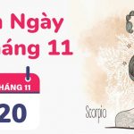 Ngày 20/11 là cung gì? Sinh ngày 20 tháng 11 âm thuộc cung gì?