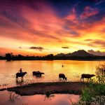 An Giang mùa nước nổi – Mùa của du lịch trứ danh