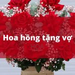 Gợi ý tặng quà 20 – 10 cho vợ ý nghĩa, thiết thực và gây bất ngờ