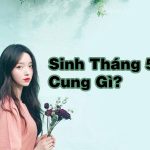 Giải đáp thắc mắc sinh tháng 5 cung gì, mệnh gì?